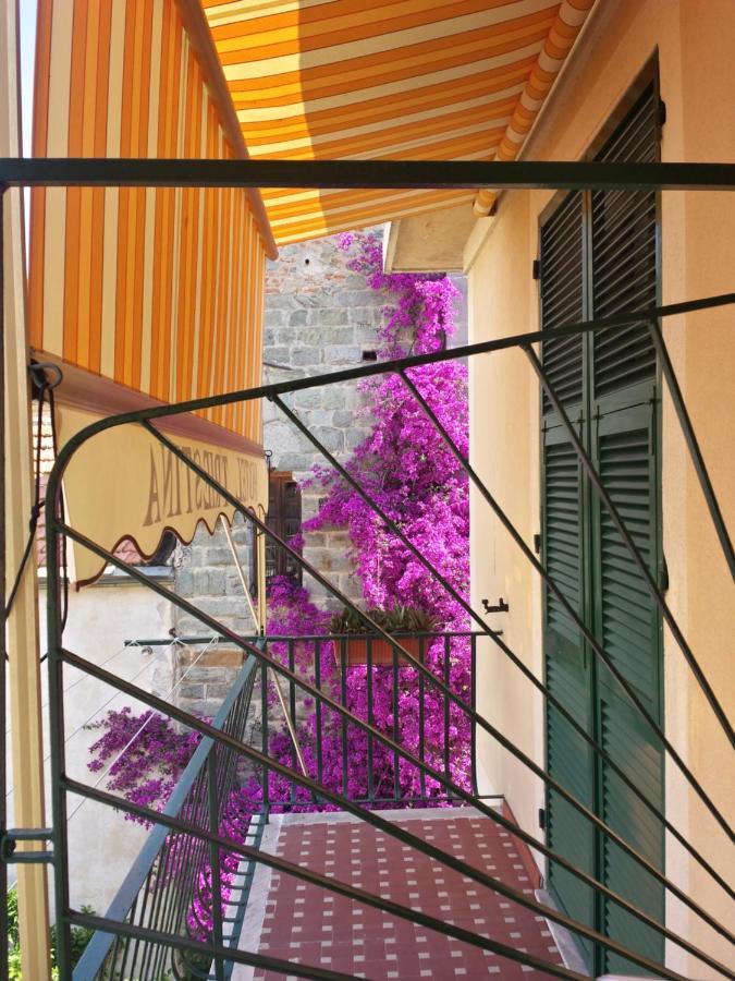 Hotel Triestina 놀리 외부 사진